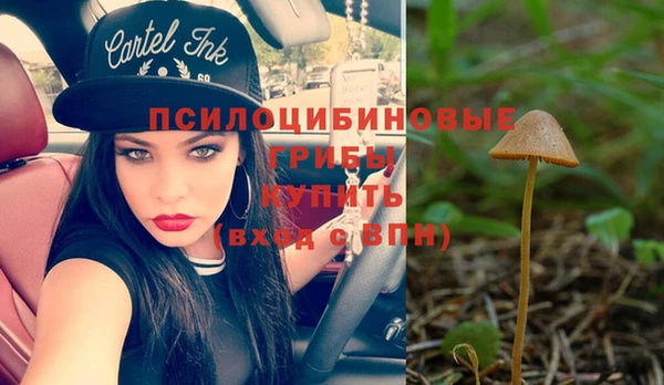 герыч Володарск